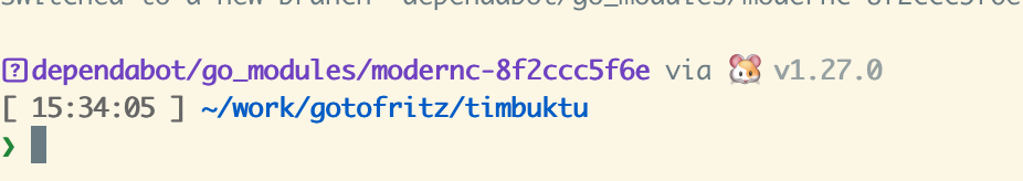 My CLI prompt, showing  dependabot/go_modules/modernc-8f2ccc5f6e via 🐹 v1.27.0
[ 15:34:05 ] ~/work/gotofritz/timbuktu